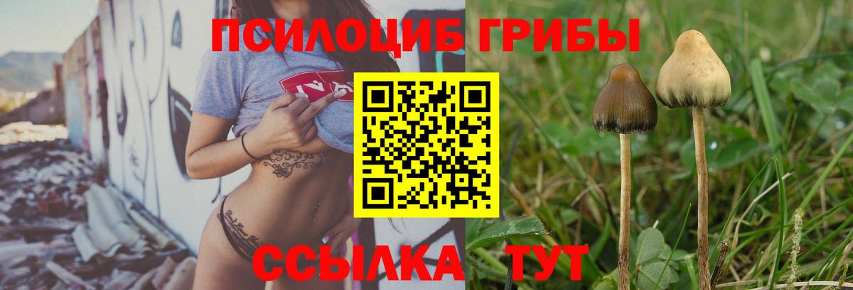 Псилоцибиновые грибы Psilocybe  закладка  Воркута  Галлюциногенные грибы GOLDEN TEACHER  Вход с VPN 